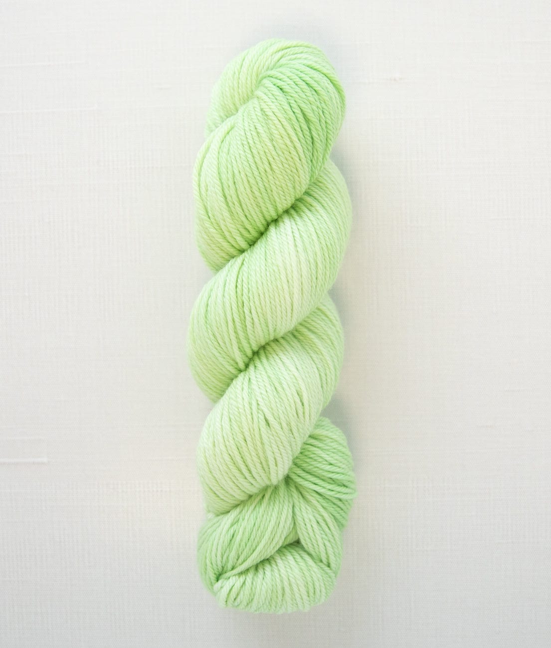 SweetGeorgia Yarns Worsted Yarns Limeade Superwash Worsted / Enlighten