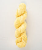 SweetGeorgia Yarns Worsted Yarns Popcorn Superwash Worsted / Enlighten