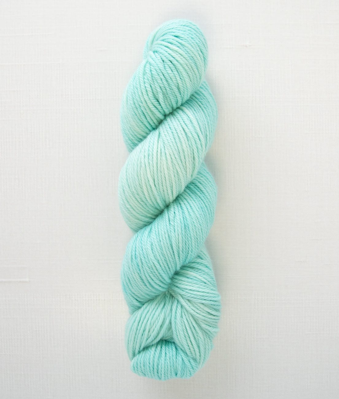 SweetGeorgia Yarns Worsted Yarns Sea Glass Superwash Worsted / Enlighten