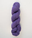 SweetGeorgia Yarns Worsted Yarns Wisteria Superwash Worsted