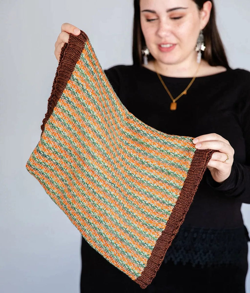 SweetGeorgia Yarns Yarn Sets Stitch Diaries: Season Five